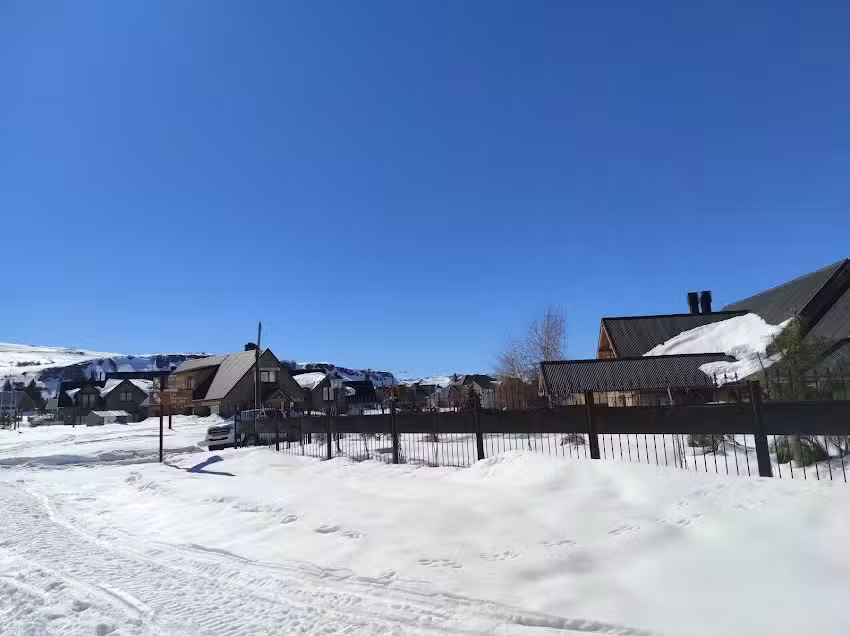 Cabañas Los Pehuenes