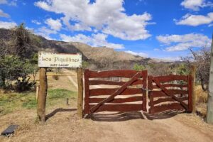 Cabañas Los Piquillines
