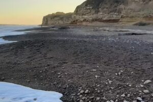 Cabañas Los Troncos- Mar del Plata