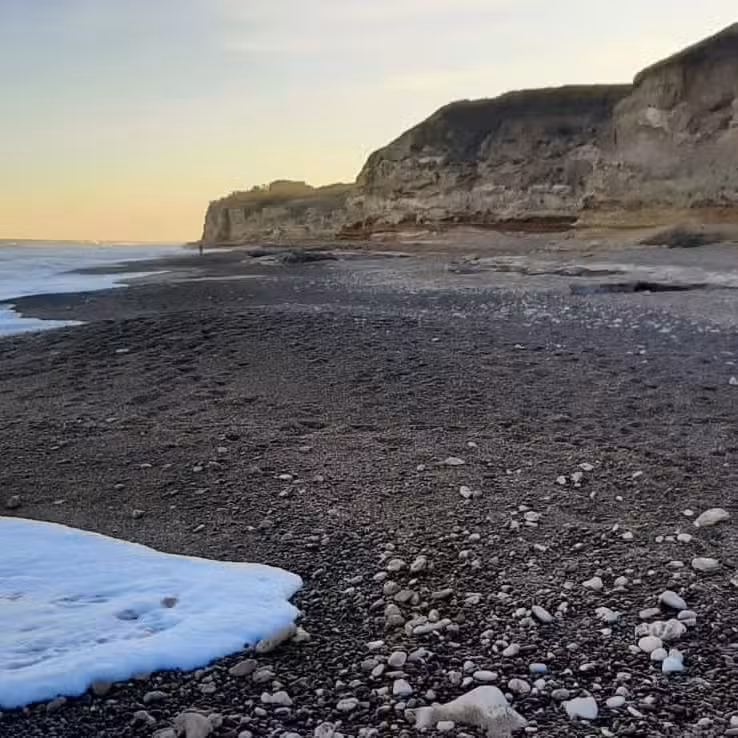 Cabañas Los Troncos- Mar del Plata