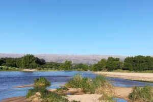 Cabañas Lucero del Alba