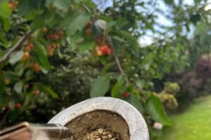 Cabañas Lugares del Sur