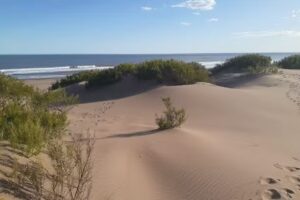 Cabañas Luna de Río