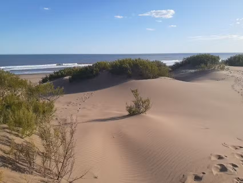 Cabañas Luna de Río
