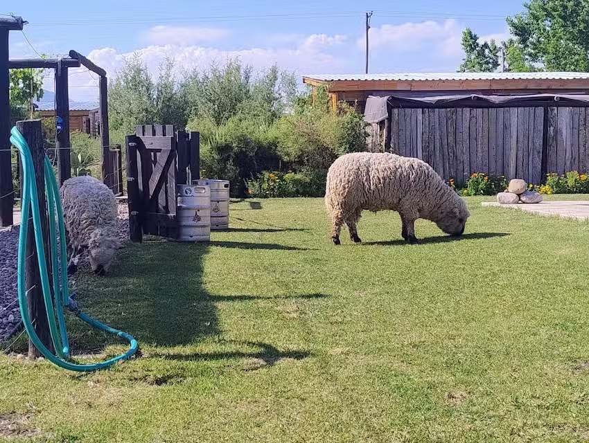 Cabañas Lupulito Lodge