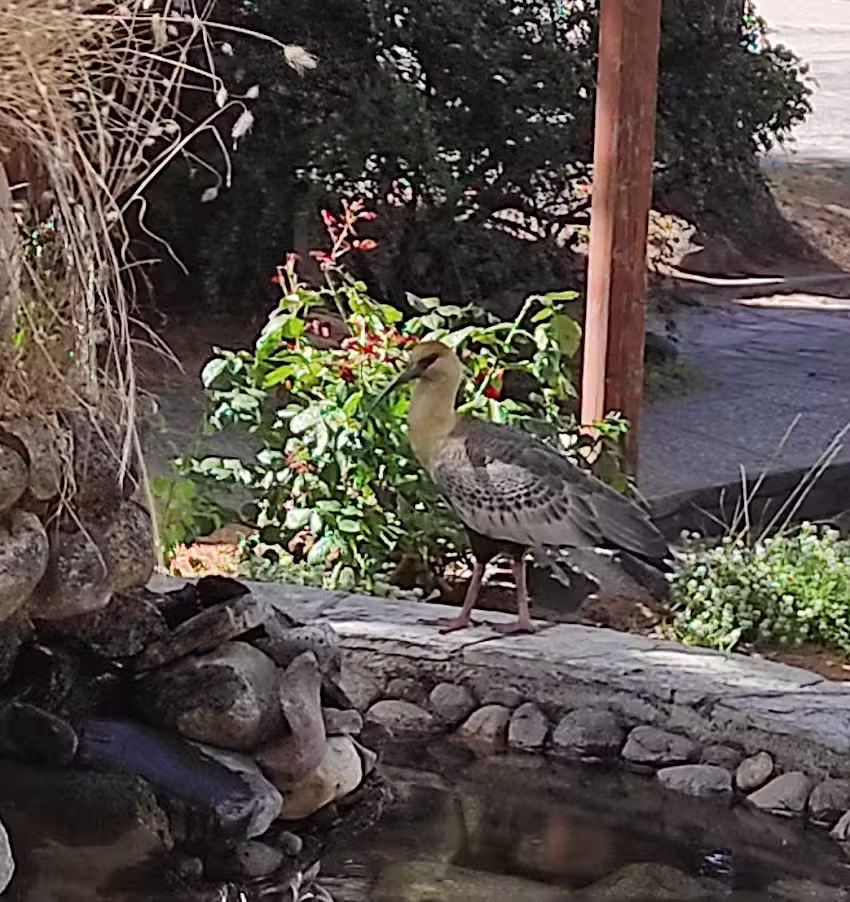 Cabañas Luz de Luna