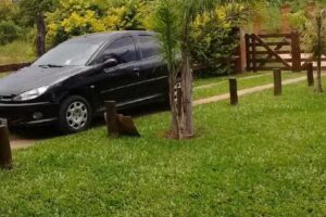 Cabañas Luz de Luna