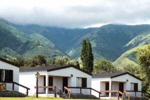 Cabañas Magnolia en Los Castaños