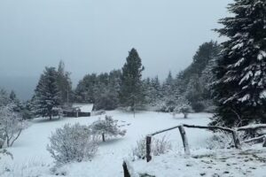 Cabañas Mascardi SJ