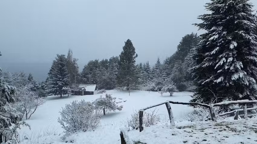 Cabañas Mascardi SJ