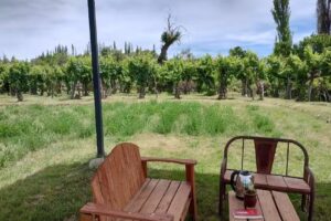 Cabañas Mi Campito Cachi