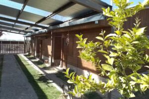 Cabañas Mis Nietos