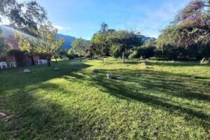 Cabañas Molino Del Arroyo