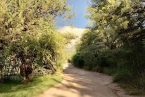 Cabañas Monte nativo Apart de campo