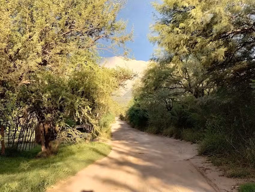 Cabañas Monte nativo Apart de campo