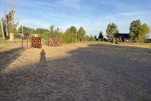 Cabañas Mora San Rafael Mendoza