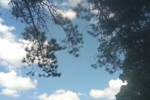 Cabañas Nomeolvides más