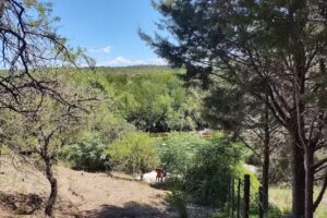 Cabañas Nueve Lunas, Santa Monica, Calamuchita