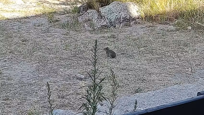 Cabañas Ojos Del Viento