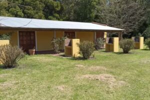 Cabañas Pampa Grass