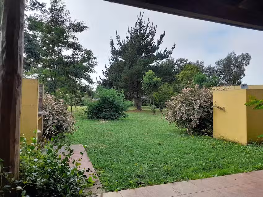 Cabañas Pampa Grass