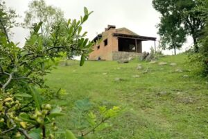 Cabañas Paso del Sauce