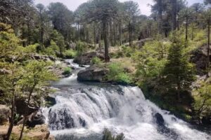 Cabañas Patagonia Shalom