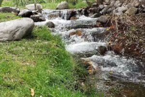 Cabañas Pequeño Paraíso