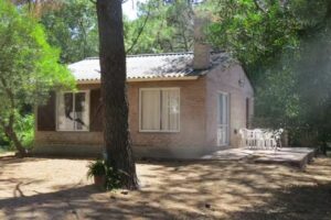 Cabañas Pinos de Rey Dunamar