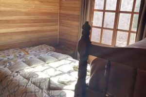 Cabañas Poli Brothers