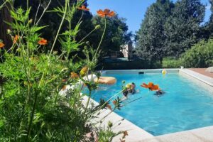 Cabañas Posada Del Río