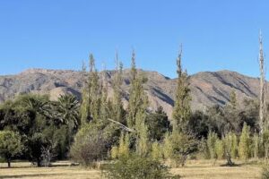 Cabañas posadas del cielo