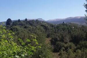 Cabañas Prado Cordillerano