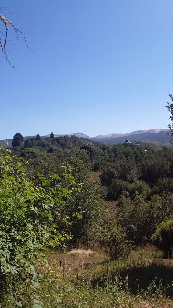 Cabañas Prado Cordillerano