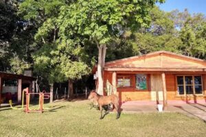 Cabañas Punta Aguirre