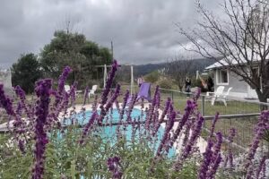 Cabañas Punto Giardino