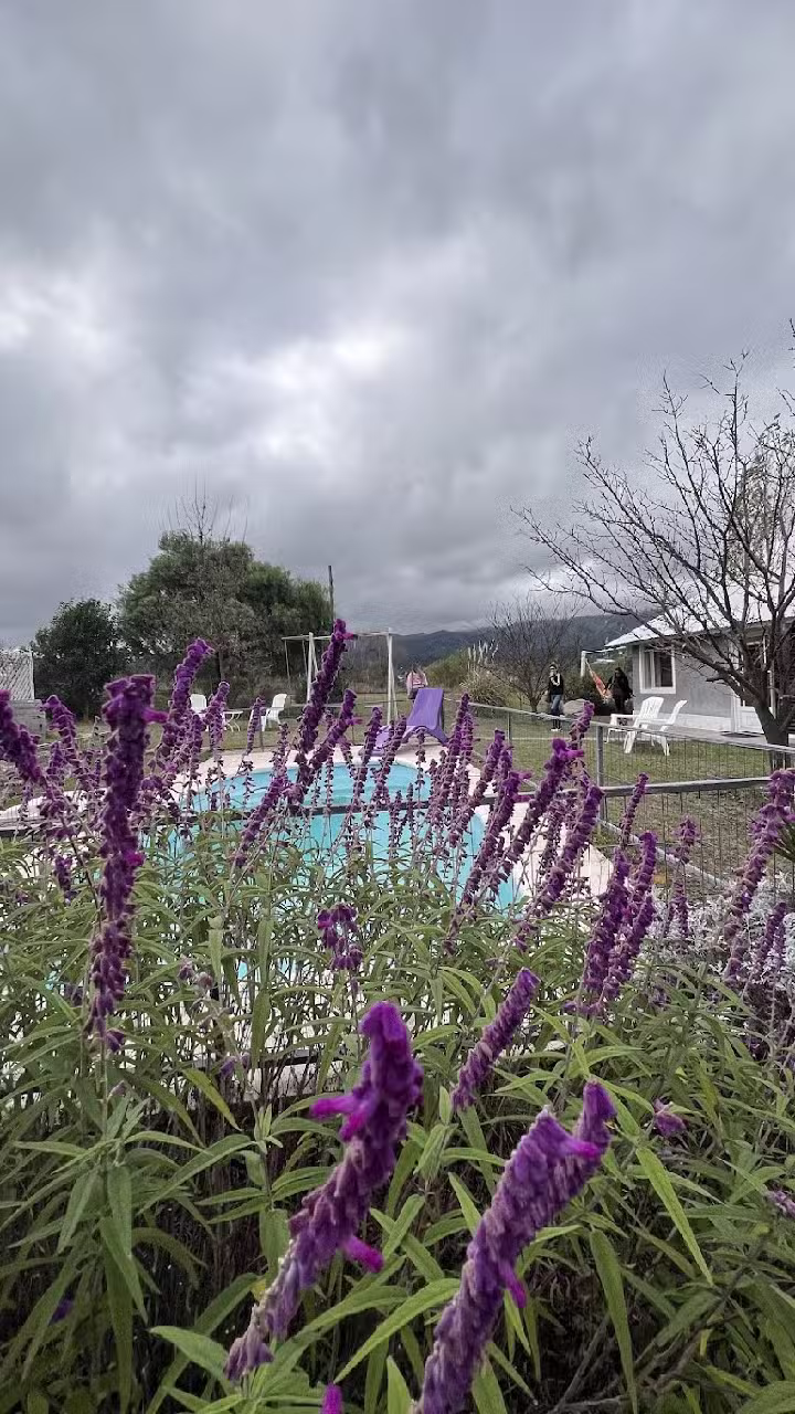Cabañas Punto Giardino