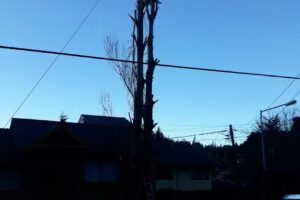 Cabañas Quilquihué