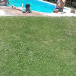 Cabañas Refugio Del Sol