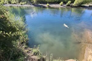 Cabañas Riberas Del Azul Lago Puelo