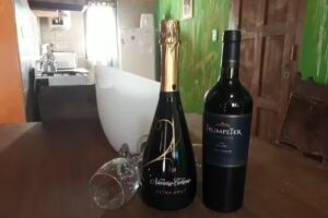 Cabañas Saint Bernard