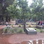 Cabañas San Cayetano