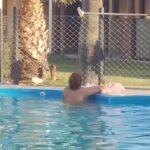 Cabañas San Francisco