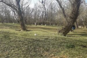 Cabañas san Ignacio