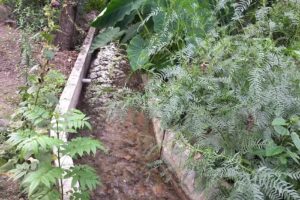 Cabañas “San Isidro”