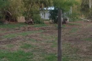 Cabañas San Miguel del Monte