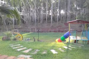 Cabañas San Vicente Mnes