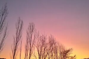 Cabañas Santa Barbara