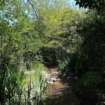 Cabañas Santa Teresita