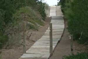 CABAÑAS SILVIA DEL SAUCE